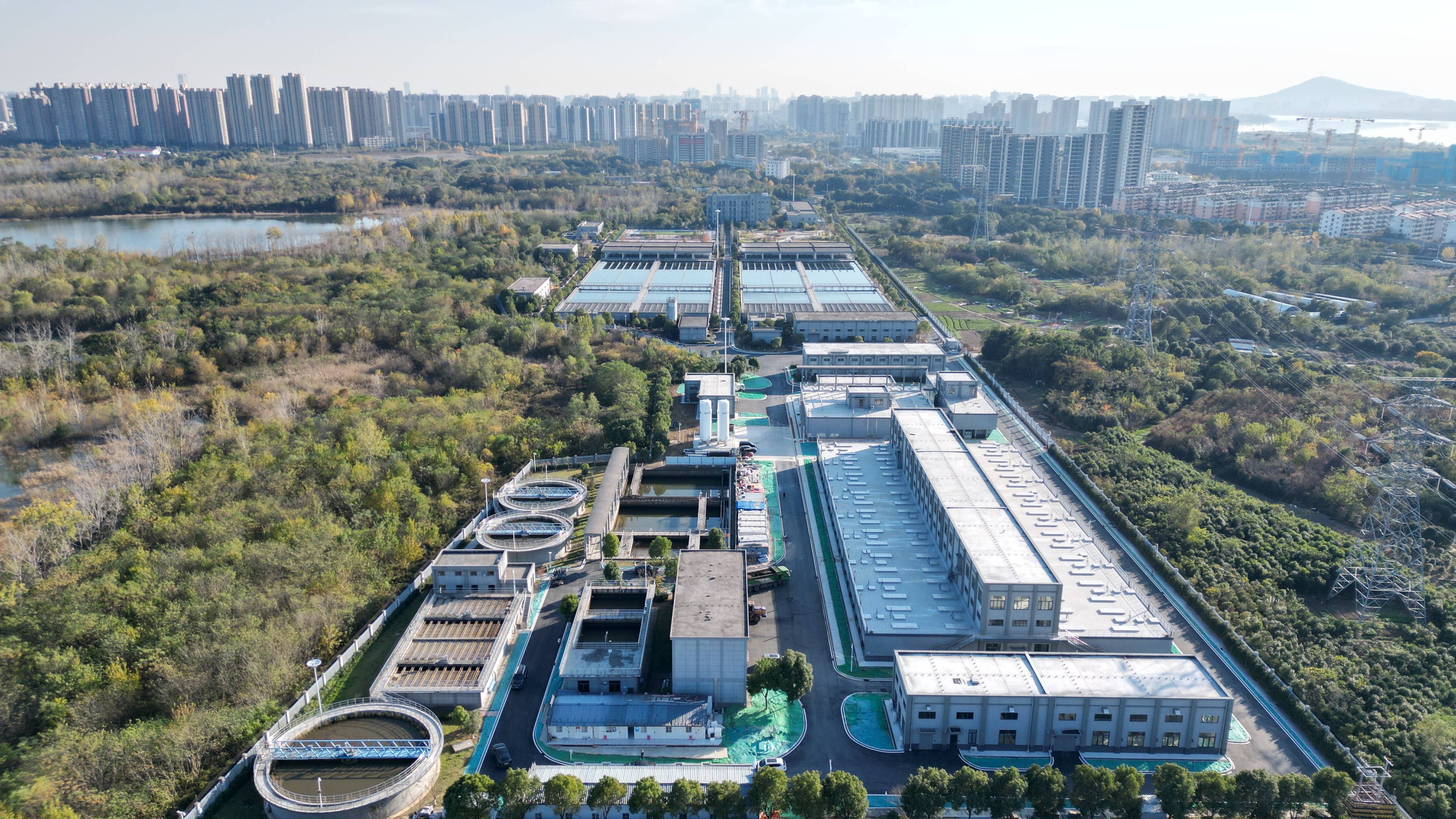 双河市合肥专业企业价值增长(合肥市重点企业产业目录)