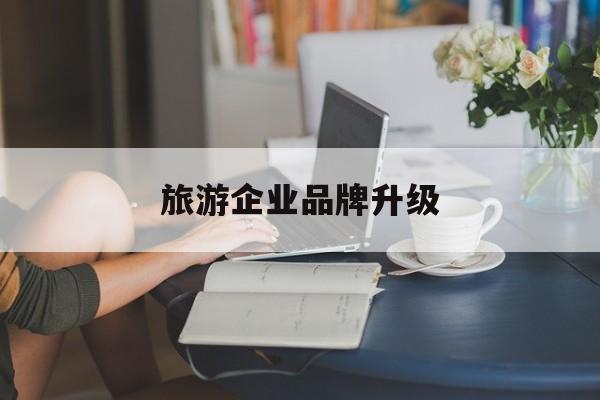 双河市旅游企业品牌升级(旅游企业品牌升级措施)