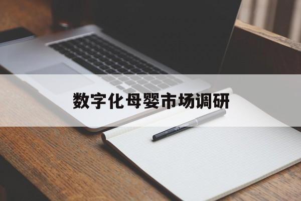 双河市数字化母婴市场调研(数字化母婴市场调研报告)